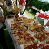 Vidovska nedelja 2013_046
